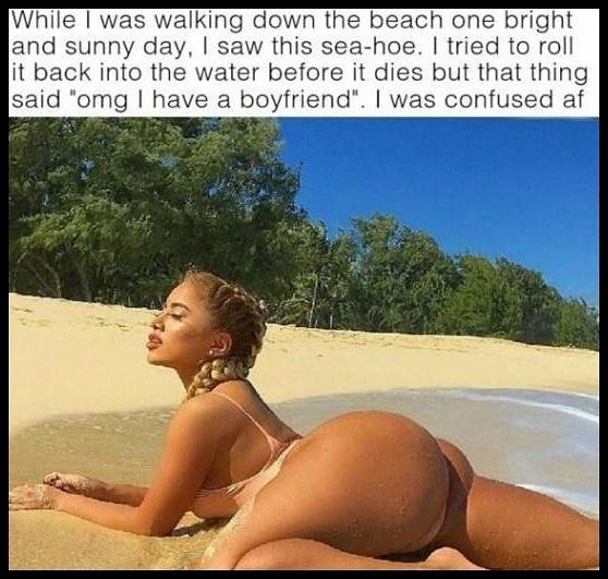 Obrázek beached hoe