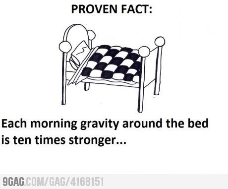 Obrázek bed gravity