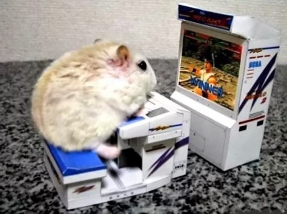 Obrázek best gaming mouse 