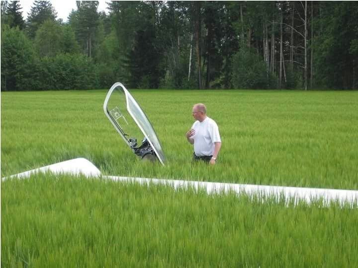 Obrázek bezne v poli