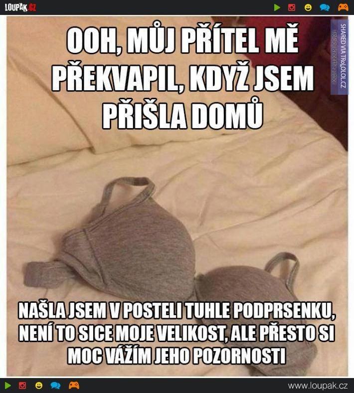 Obrázek bezva pritel