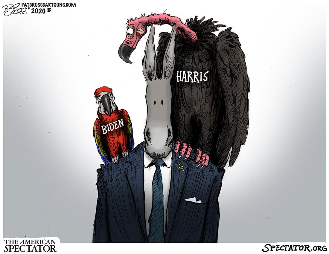 Obrázek biden-harris-birds