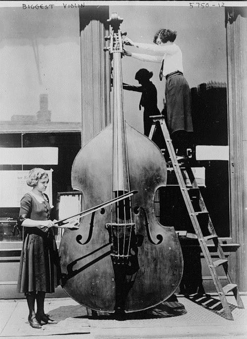 Obrázek biggest violin