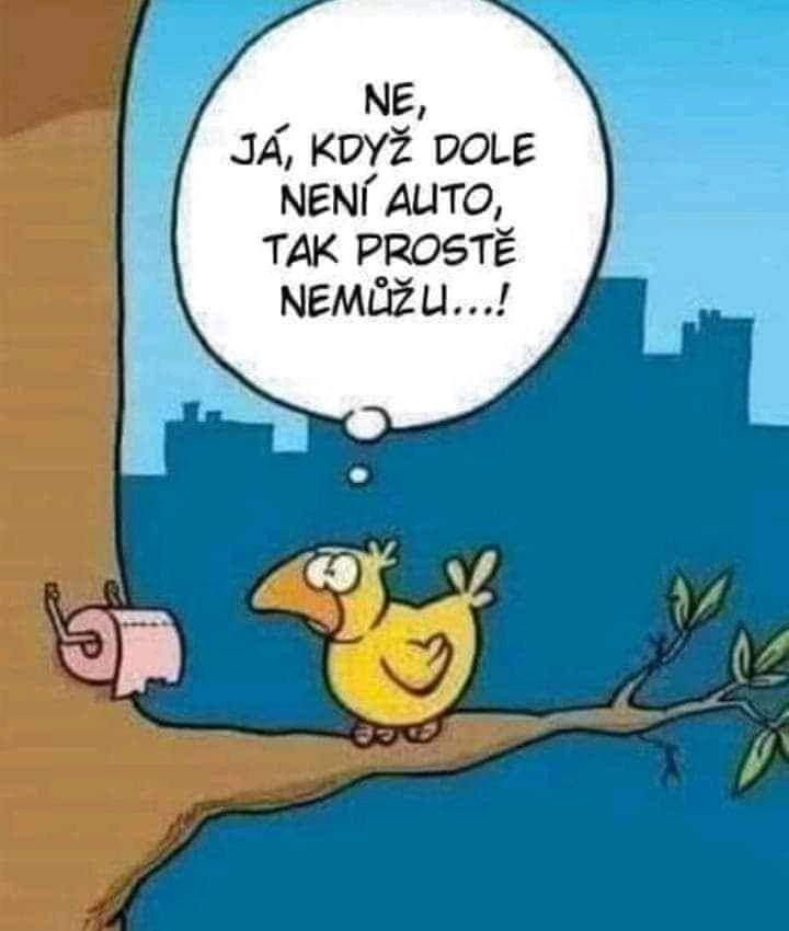 Obrázek bird problem