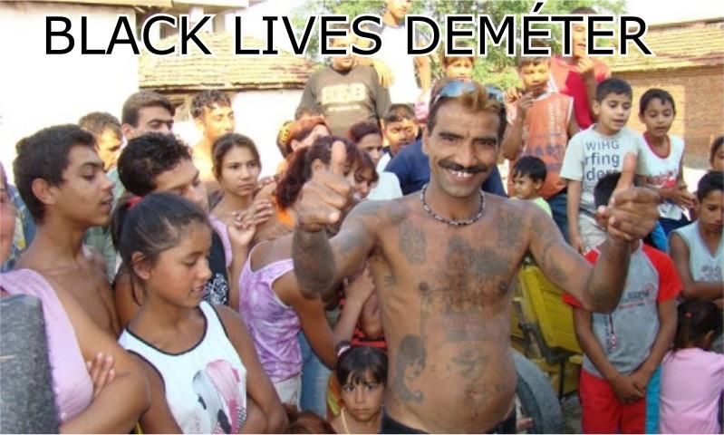 Obrázek black lives demeter