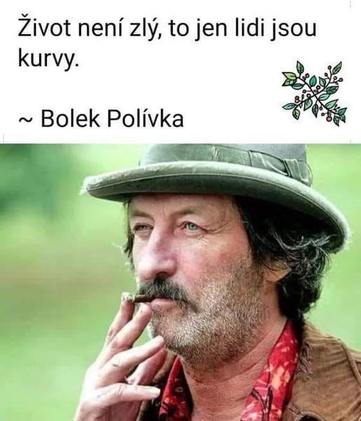 Obrázek bolek 1