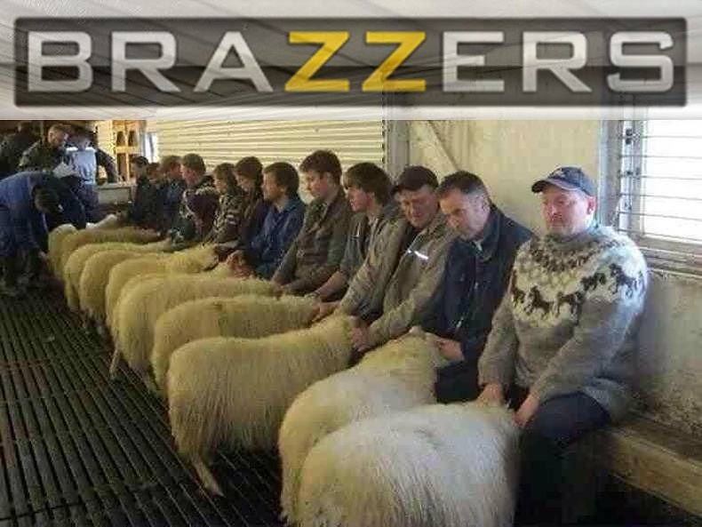 Obrázek brazzers     