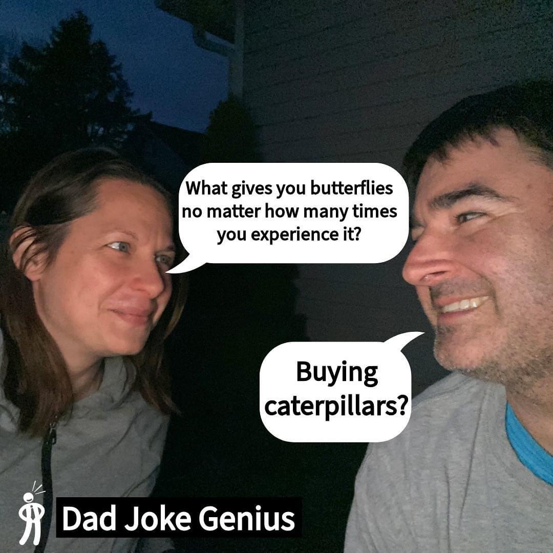 Obrázek buy more caterpillars
