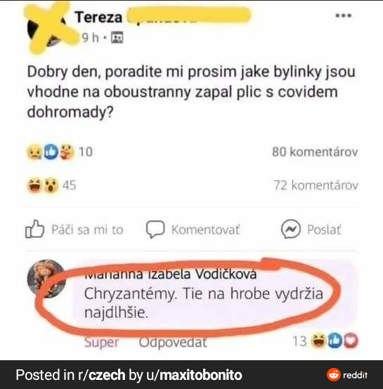 Obrázek bylinky