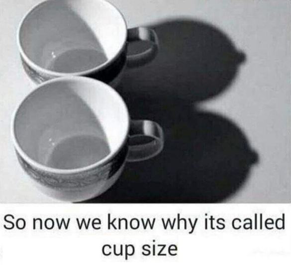 Obrázek called cup size