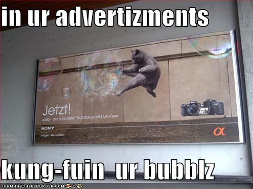 Obrázek cat-kung-fu-bubbles-ad