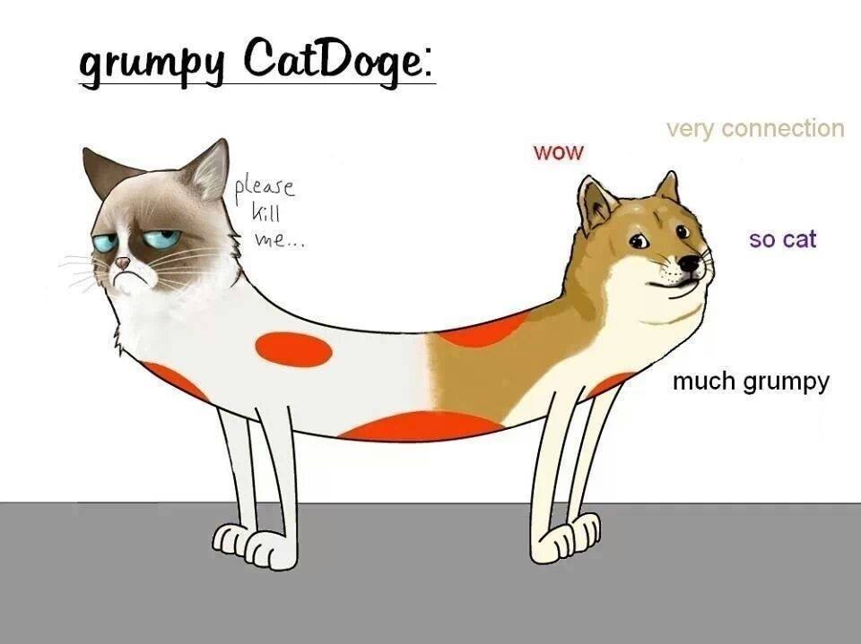 Obrázek catdog