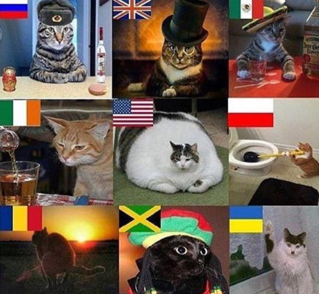 Obrázek catflags