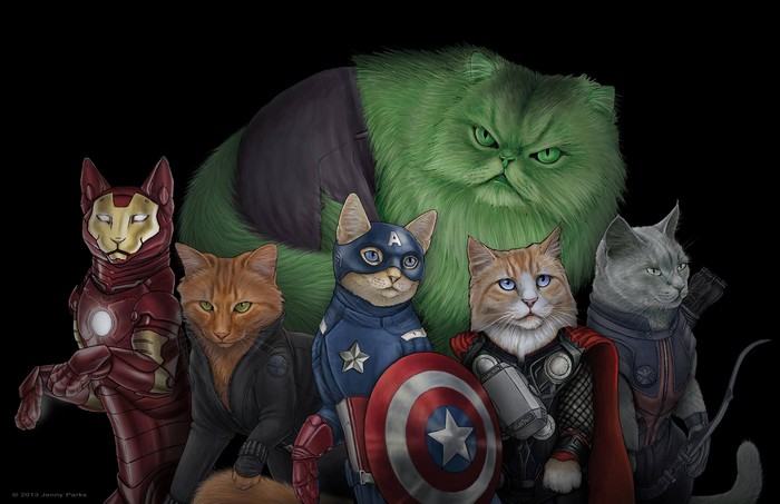 Obrázek catvengers