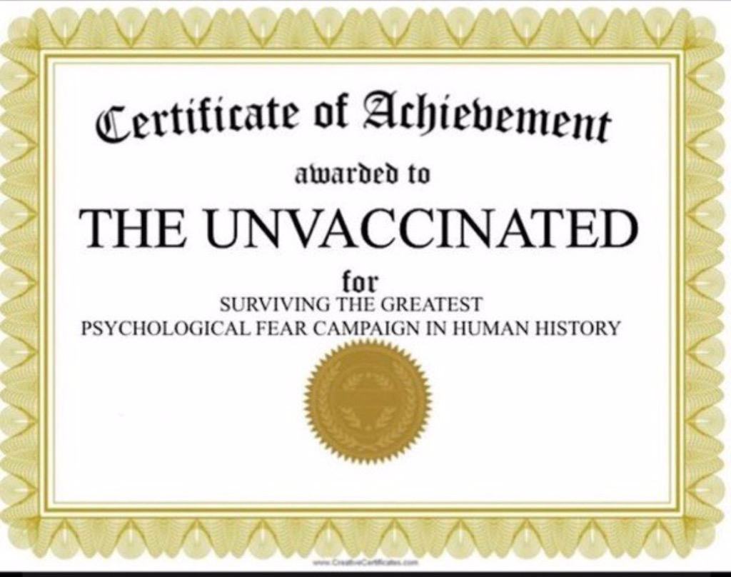 Obrázek certificate of achievement