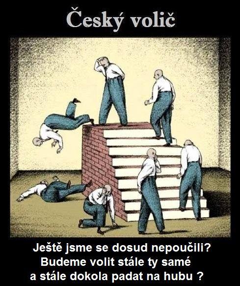 Obrázek cesky volic