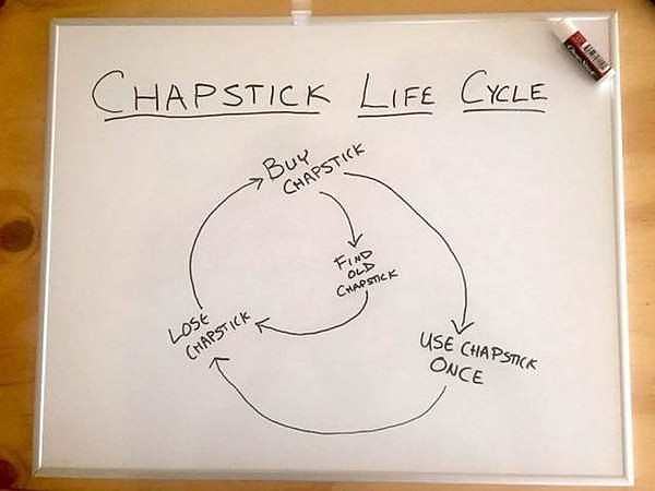 Obrázek chapstick life cycle