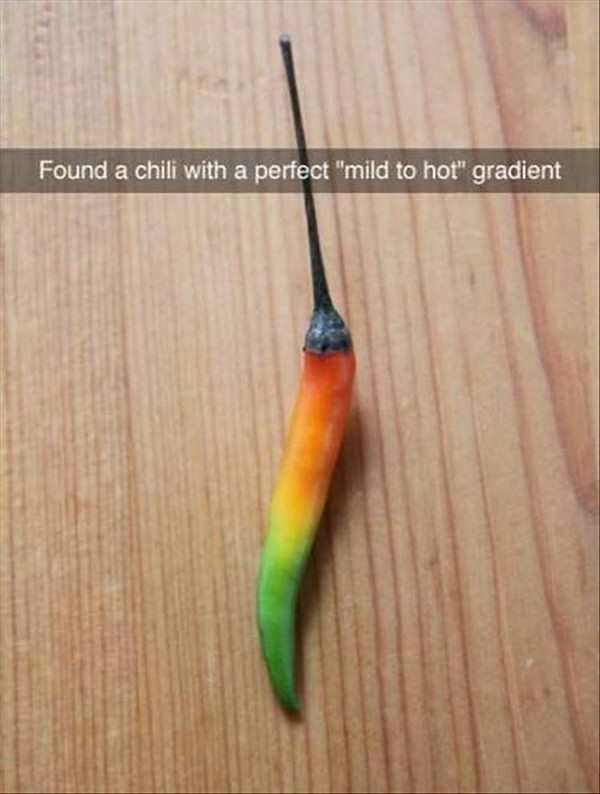 Obrázek chili-gradient