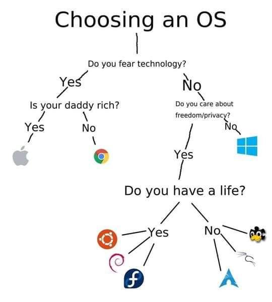 Obrázek choosing an OS