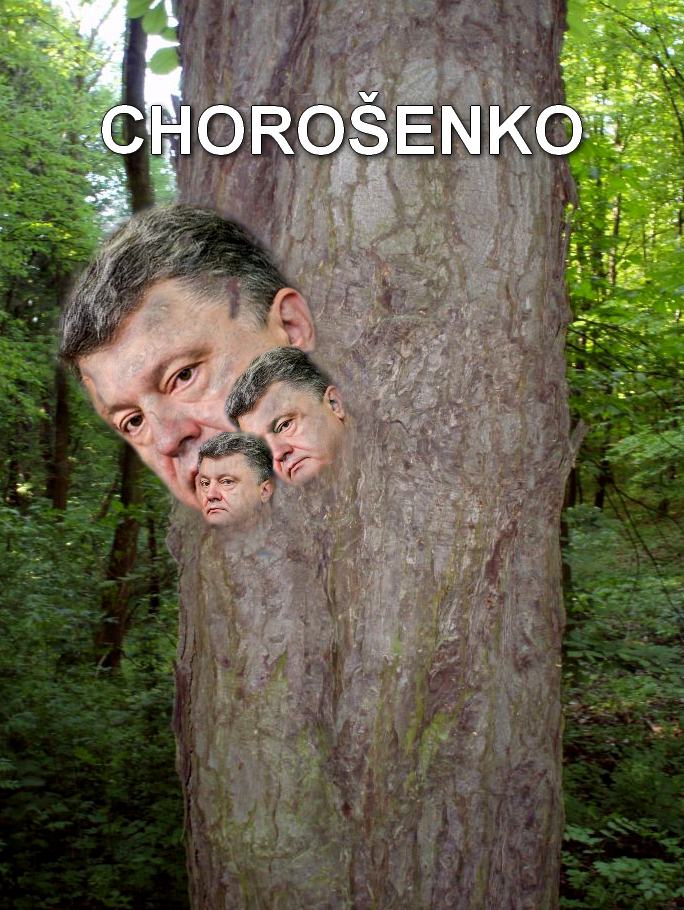 Obrázek chorosenko