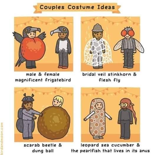 Obrázek couple costumes