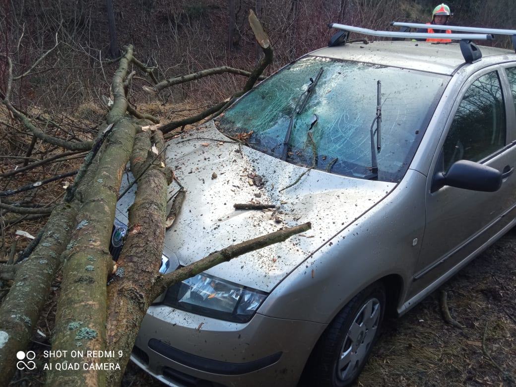 Obrázek crash