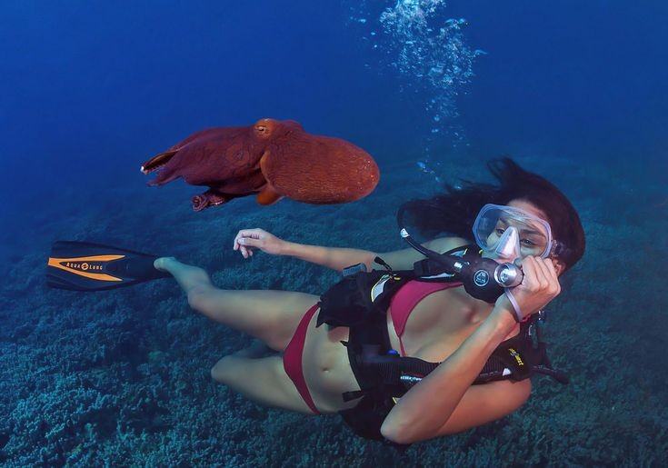 Obrázek cuba diving 2