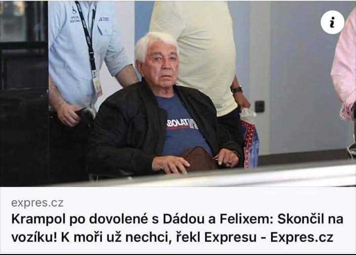 Obrázek dada je divoska