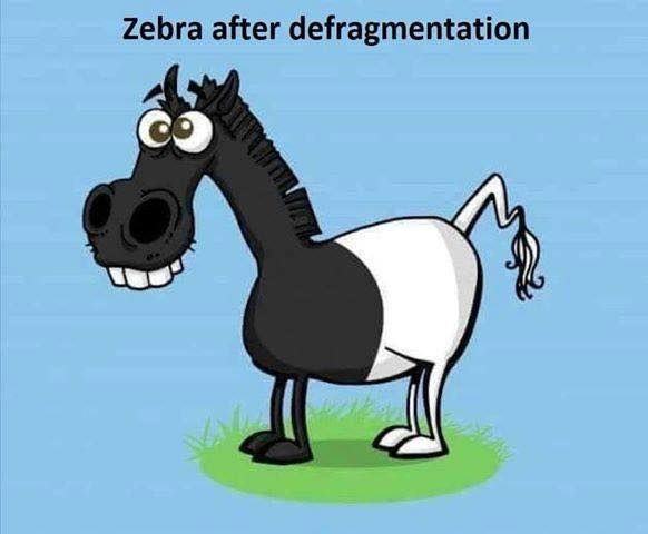 Obrázek defrazebra