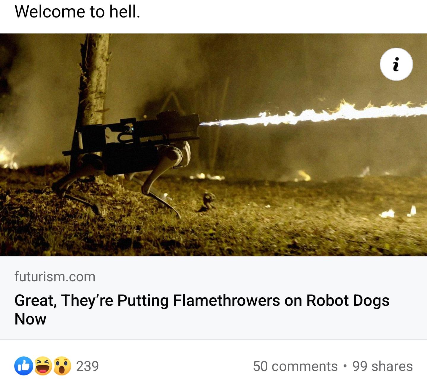 Obrázek do not put flamethrower on robotic dog