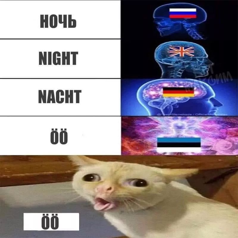 Obrázek dobrou nooooooc