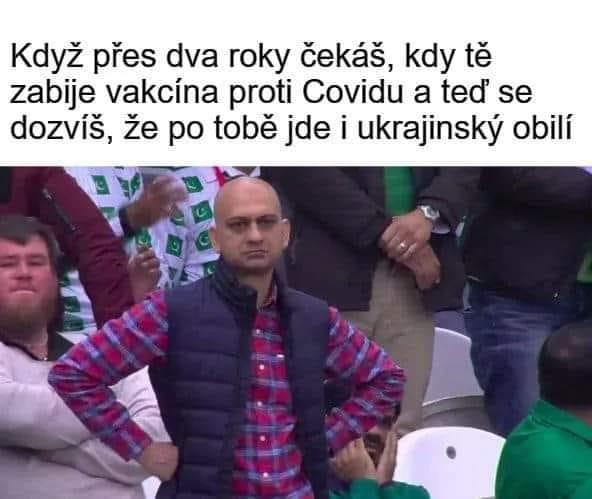 Obrázek docka se