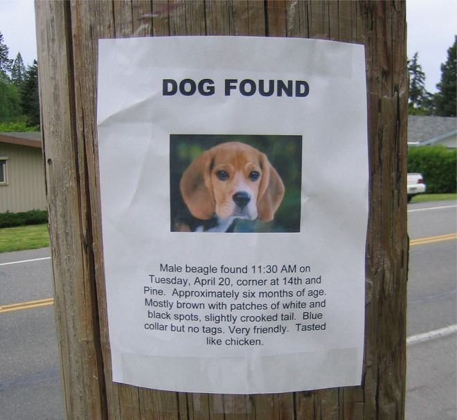 Obrázek dog found