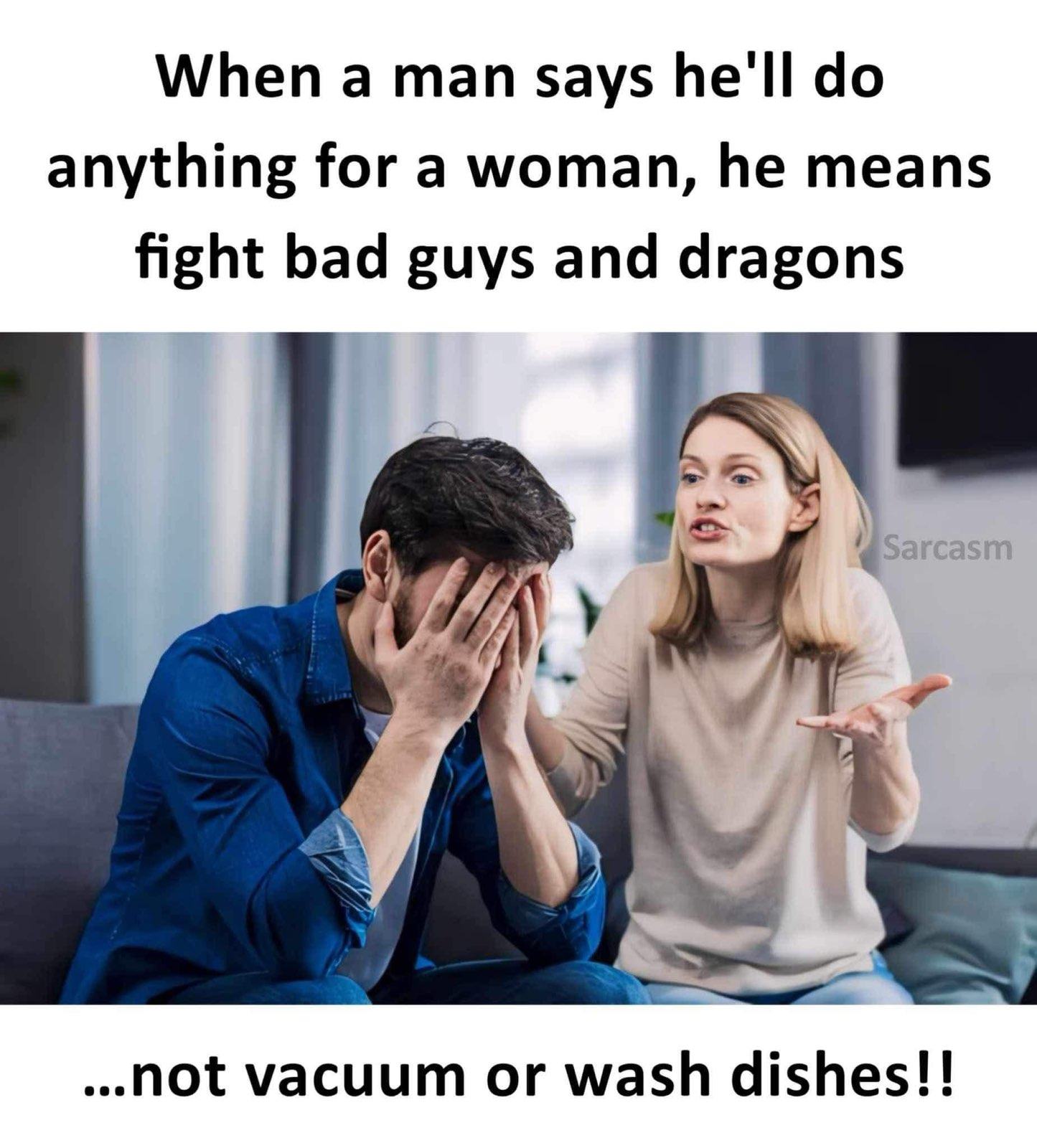 Obrázek dragons not vacuum
