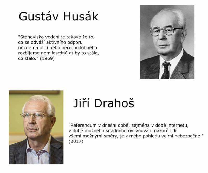 Obrázek drahos jako husak