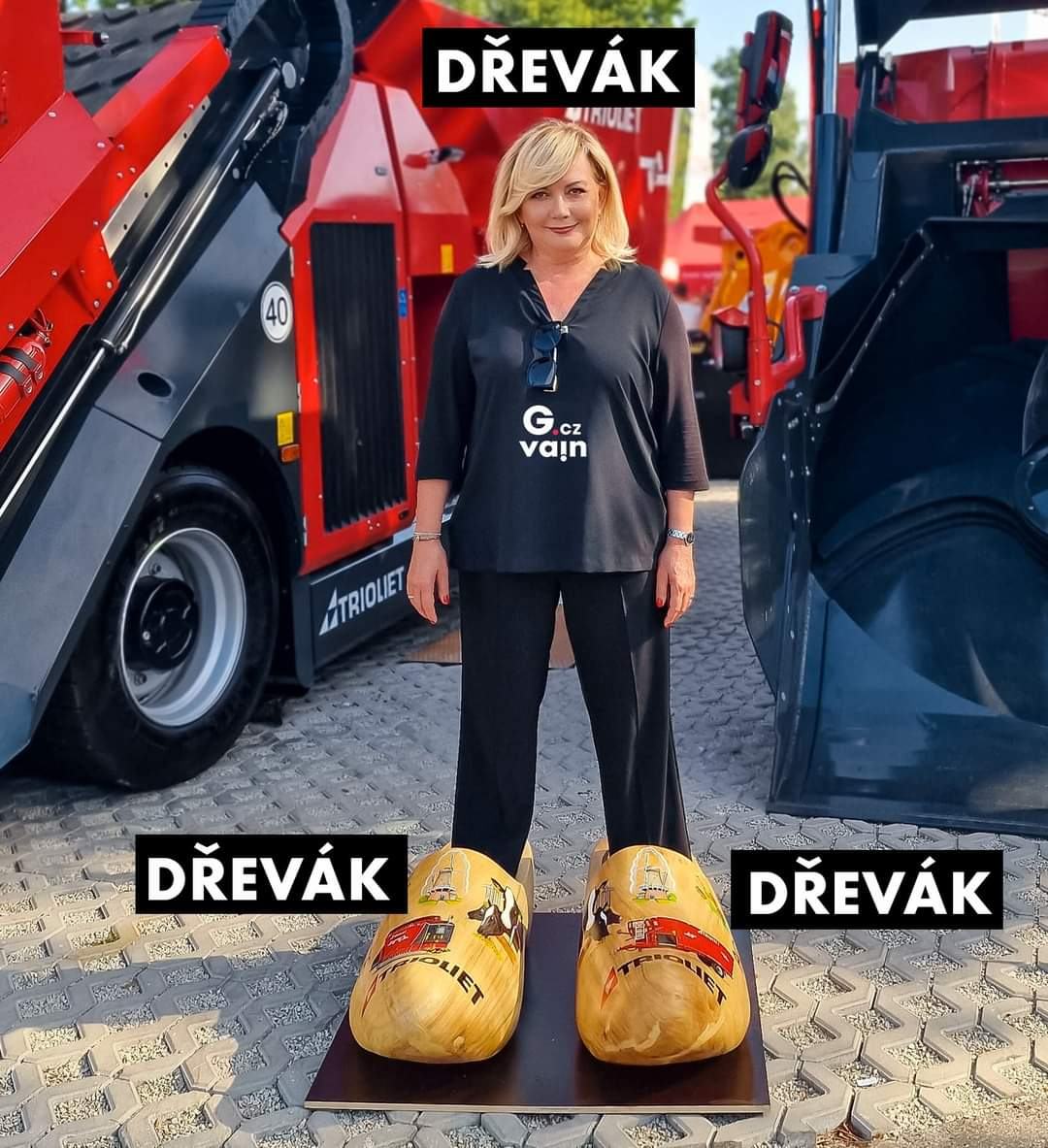 Obrázek drevak2