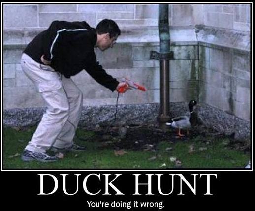 Obrázek duckhunt   