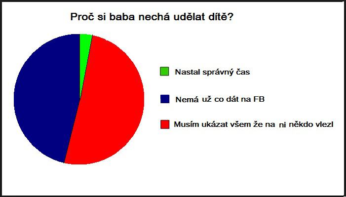 Obrázek duvody tehotenstvi