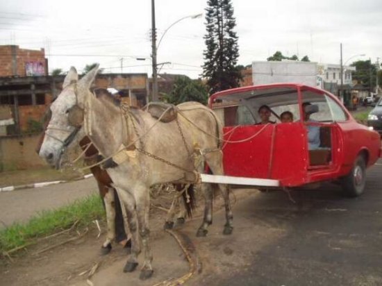 Obrázek ecologiccar