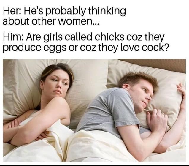 Obrázek eggs or cocks