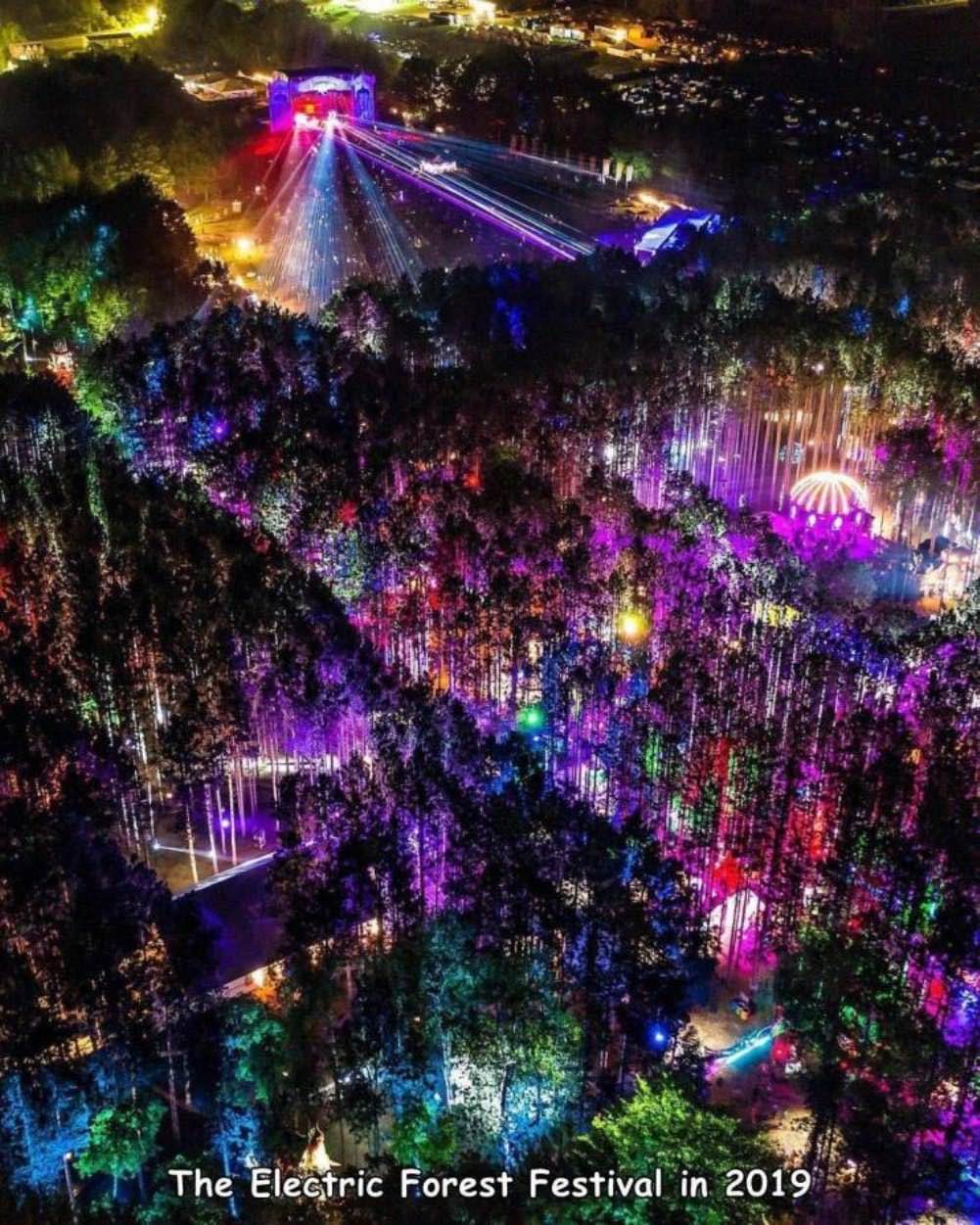 Obrázek electric forrest