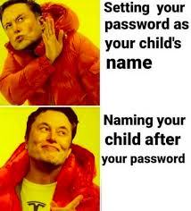 Obrázek elon password