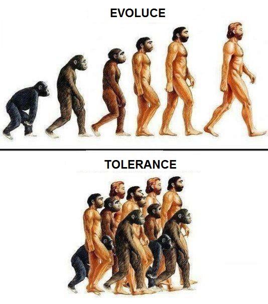 Obrázek evoluce - tolerance