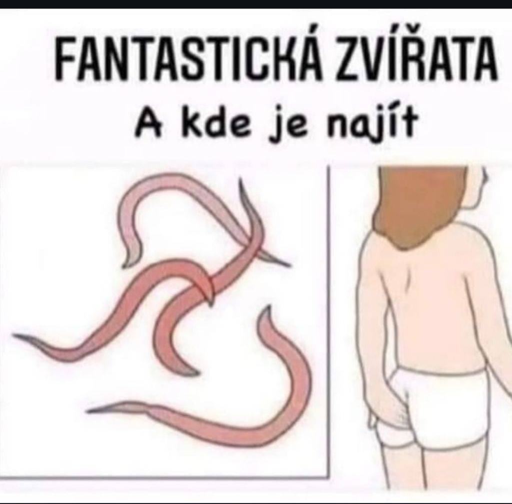 Obrázek fantasticka zvirata a kde je najit