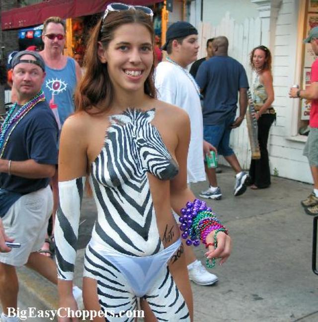 Obrázek fest zebra