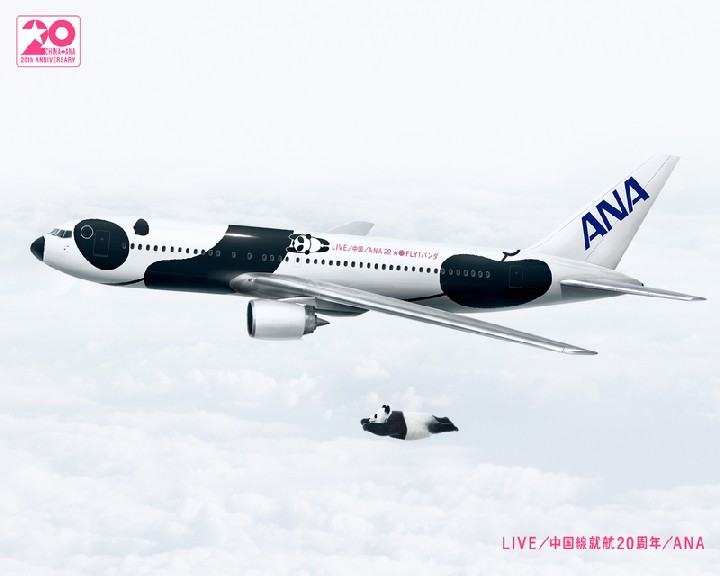 Obrázek fly by panda air