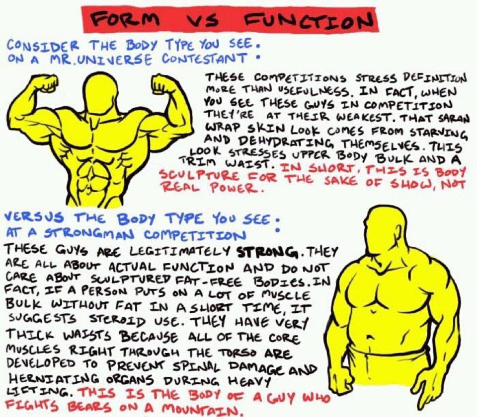 Obrázek form vs function