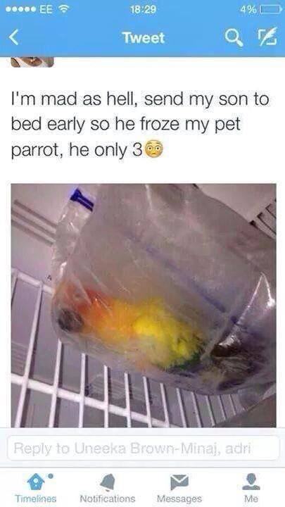 Obrázek frozenparrot