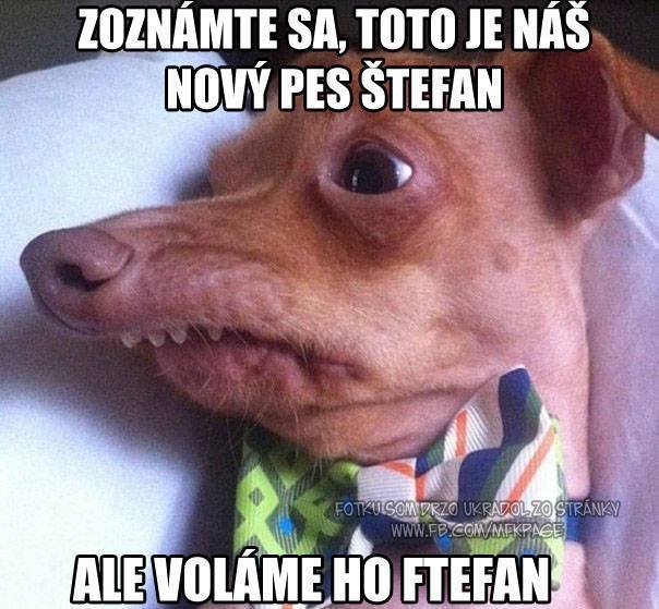 Obrázek ftefan