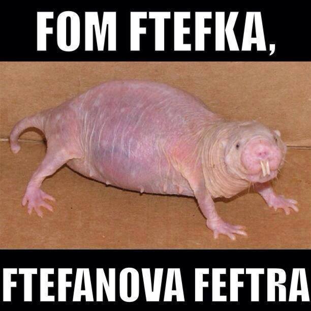 Obrázek ftefka